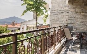 Panorama Village View